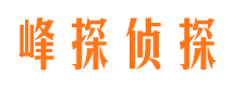 社旗市调查公司